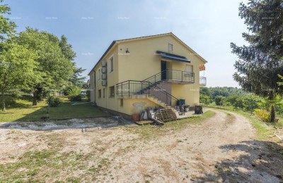 House on a large plot.