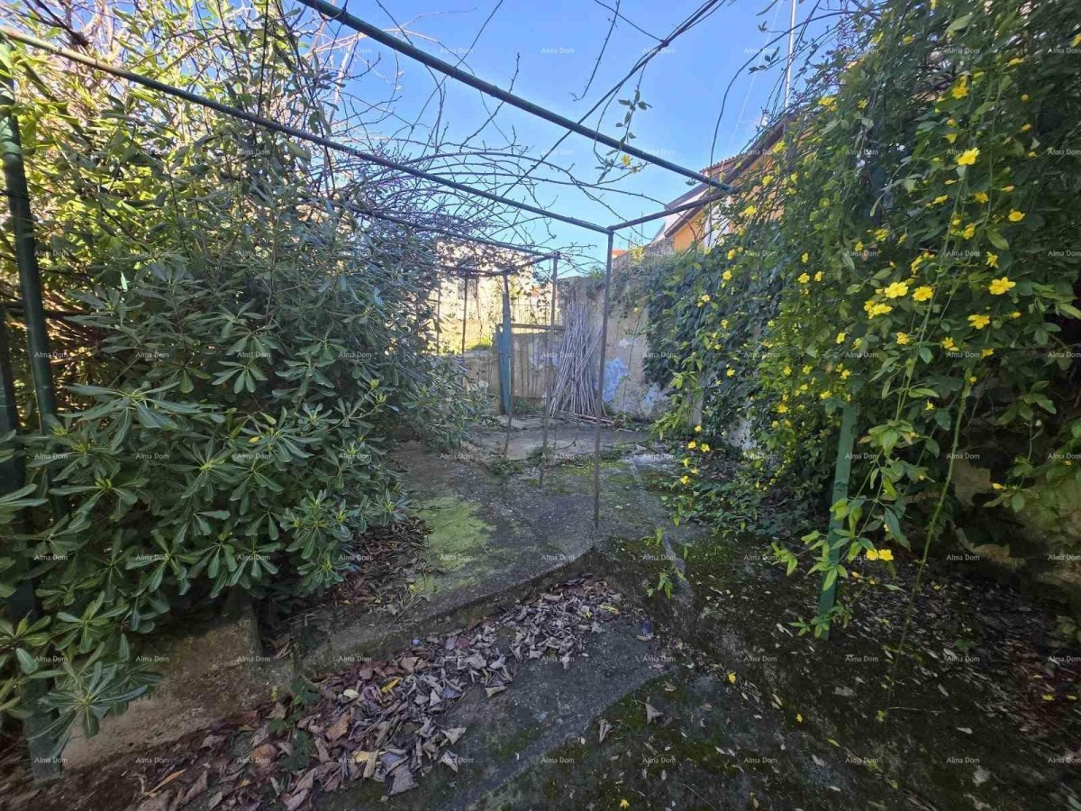 Каштание – дом с двумя отдельными квартирами, гаражом и садом площадью 250 м2 - продажа! 2