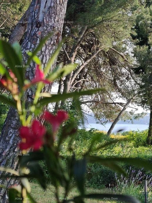 KUĆA SA TRI  APARTMANA,  MEDULIN 4