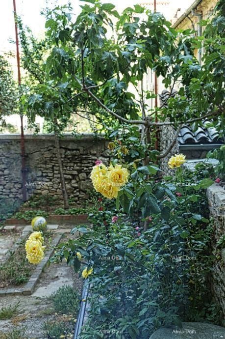 Pula, 2-bedroom apartment in the center, 31 m² + terrace and garden 17