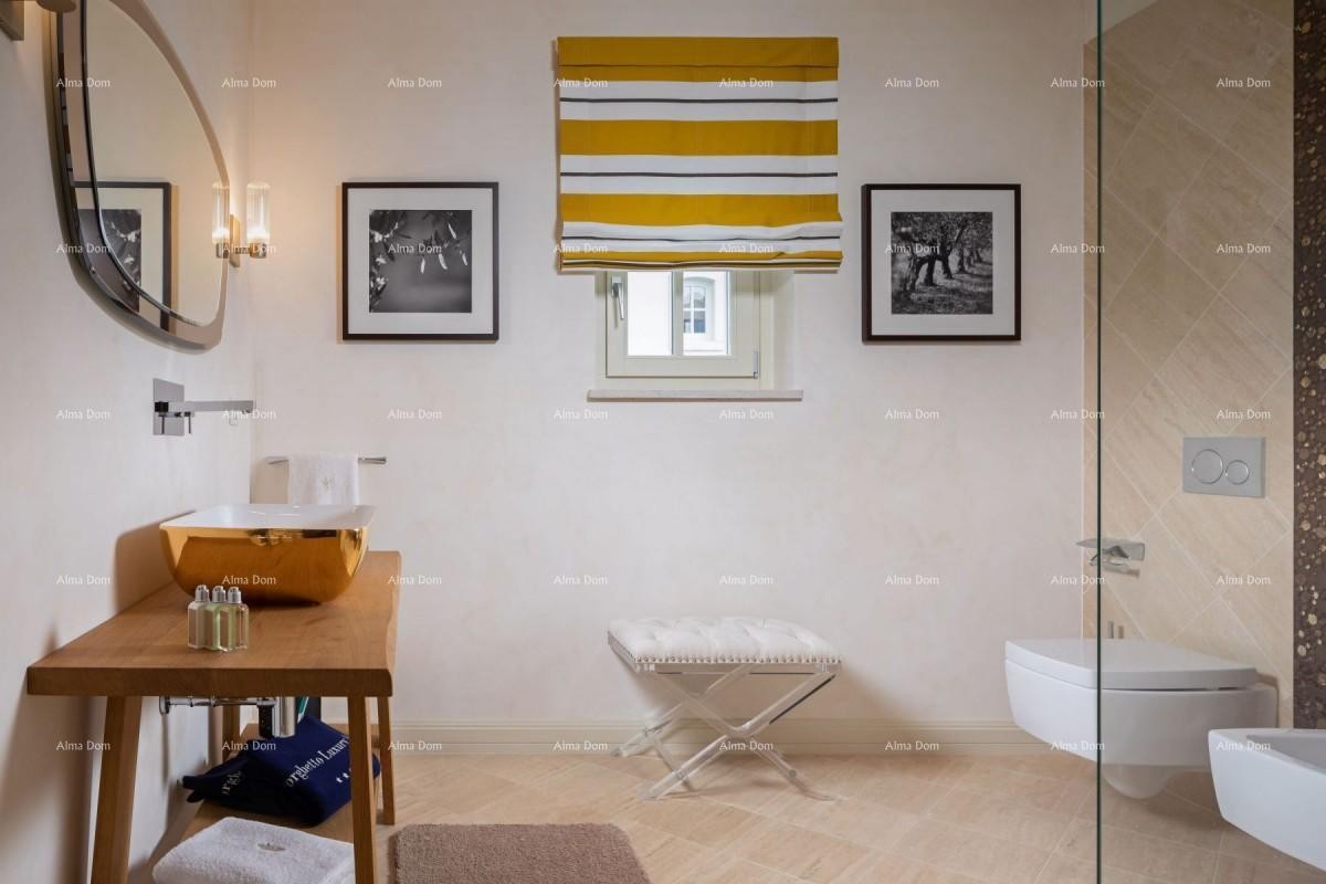 Magnificent villa with pool in Vabriga! 15