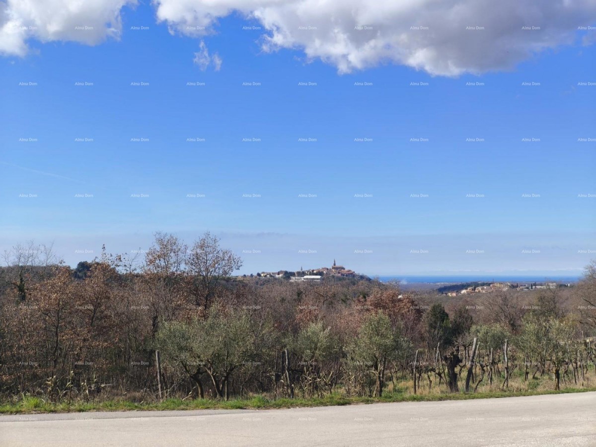 Buje – građevinsko zemljište 1.086 m² s pogledom na more 3