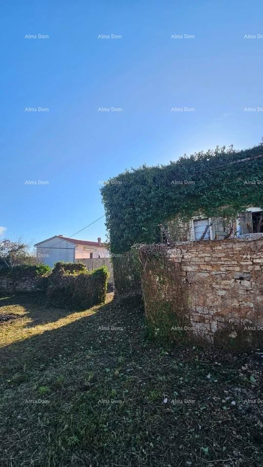 For sale: Ruined house – Svetvinčenat, Juršići 4