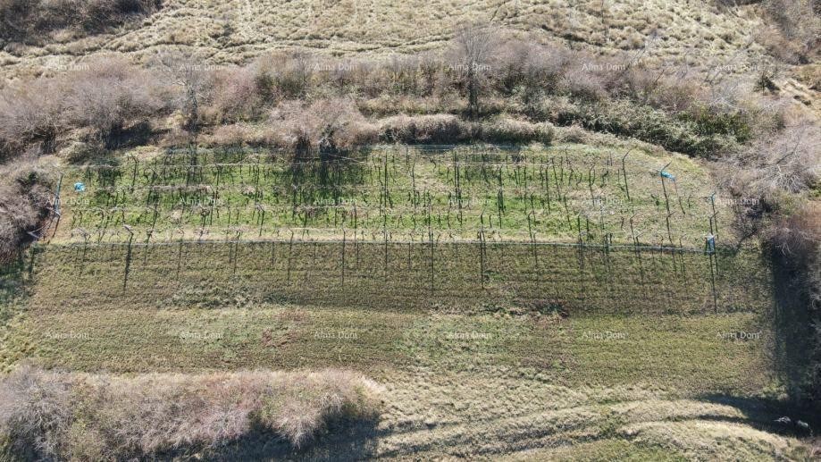 KAŠČERGA – Attractive building land of 1665 m2 with a view of Učka 3