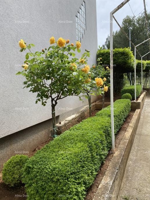 Pula – Hiša z dvema stanovanjski enotama, 50 m od morja 6