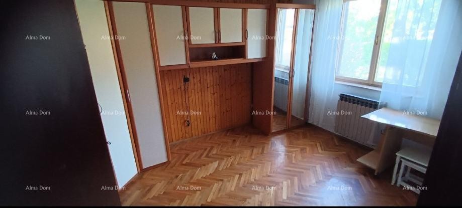 Pazin, obiteljsko imanje s dvije stambene jedinice i velikom okućnicom 3