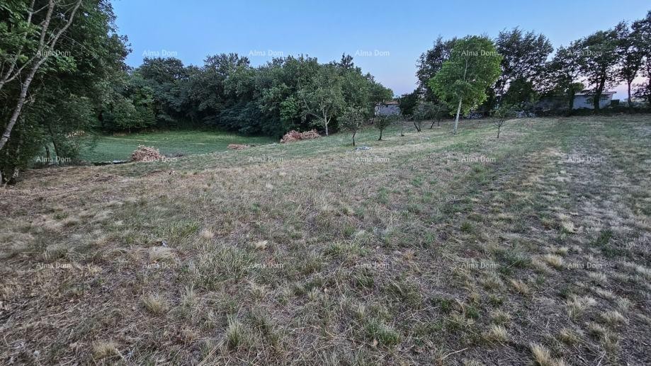 Строительная земля в Тиньяне (Истрия), 3.623 м² 9