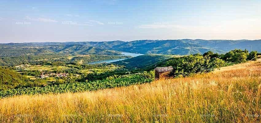 Buzet, complesso terriero di superficie totale di 100.258 m² 1