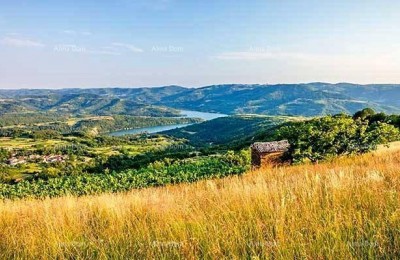 Buzet, complesso terriero di superficie totale di 100.258 m²