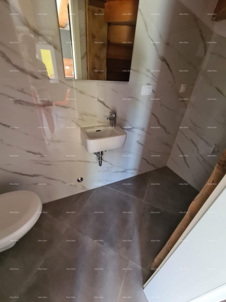 Renovirana kamena kuća s bazenom – mirno selo blizu Svetvinčenta 8