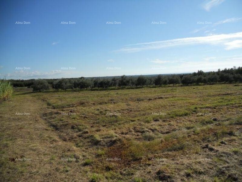 Мы продаем земельный участок в 3 км от моря. 1