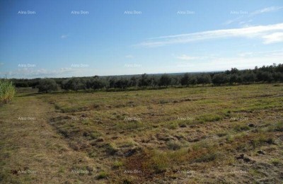 Мы продаем земельный участок в 3 км от моря.