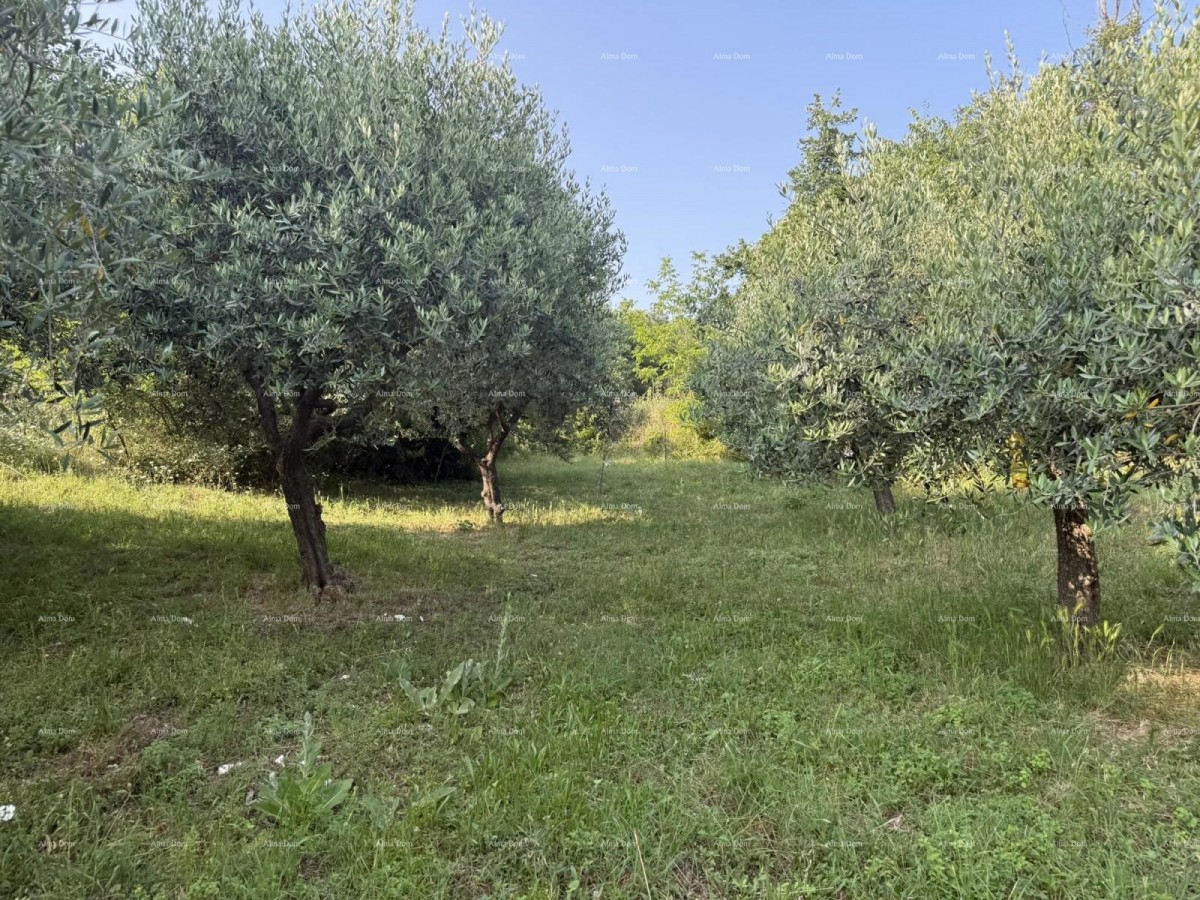 Affascinante casa familiare con ampio giardino e terreno edificabile aggiuntivo vicino a Barban 19