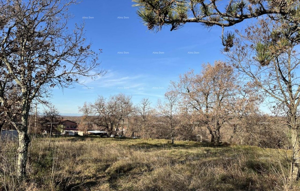 Jurcanija, Buje. Gradbene parcele s panoramskim pogledom 5