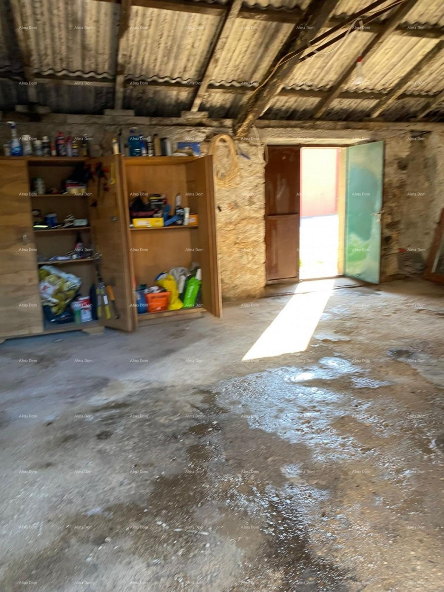 Prodaja dvojčka z gospodarskim poslopjem (manjša hiša) in zemljiščem, Pula! 13