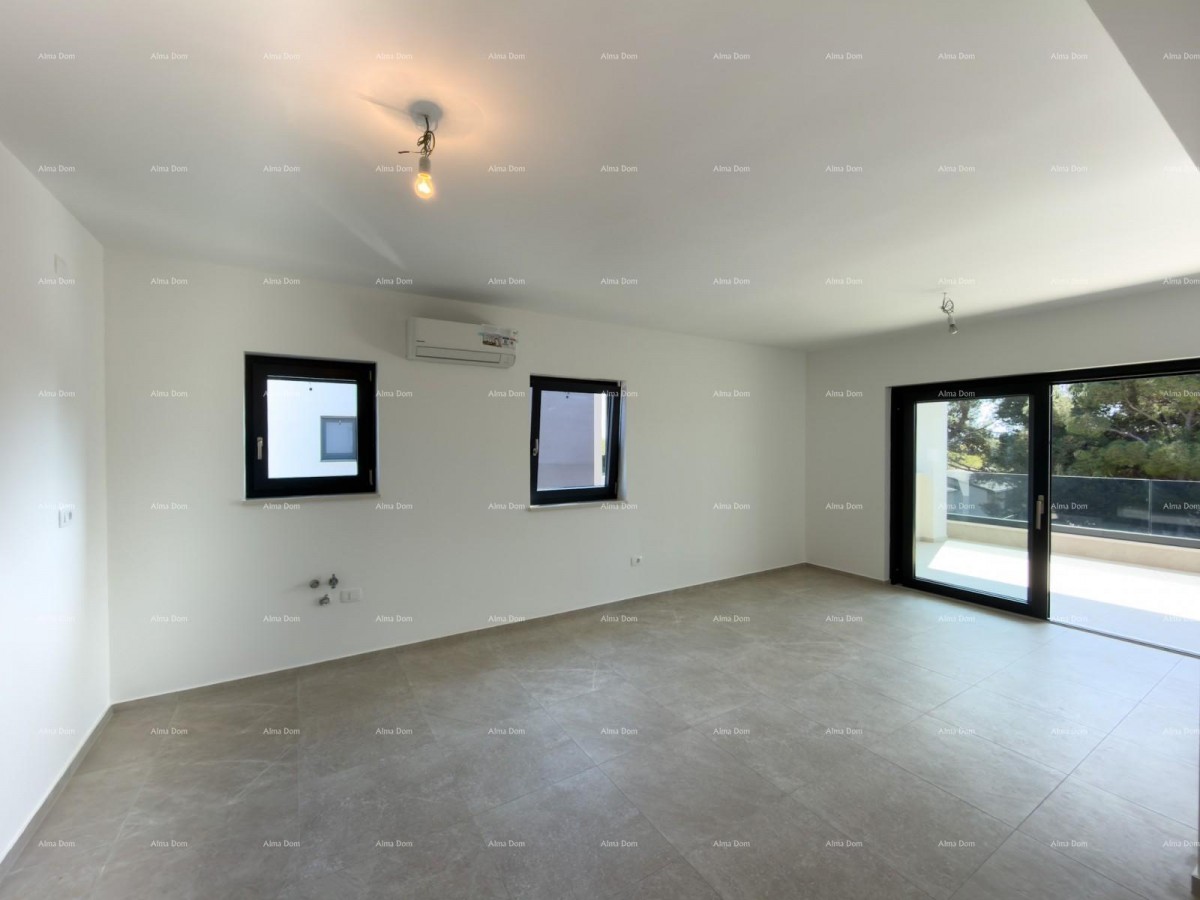 The translation of the title 7