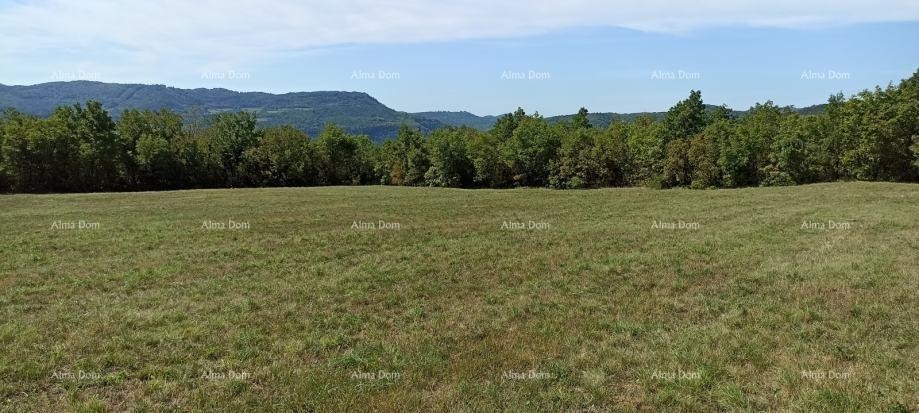 Building land for sale, 1374 m2, Buzet! 4