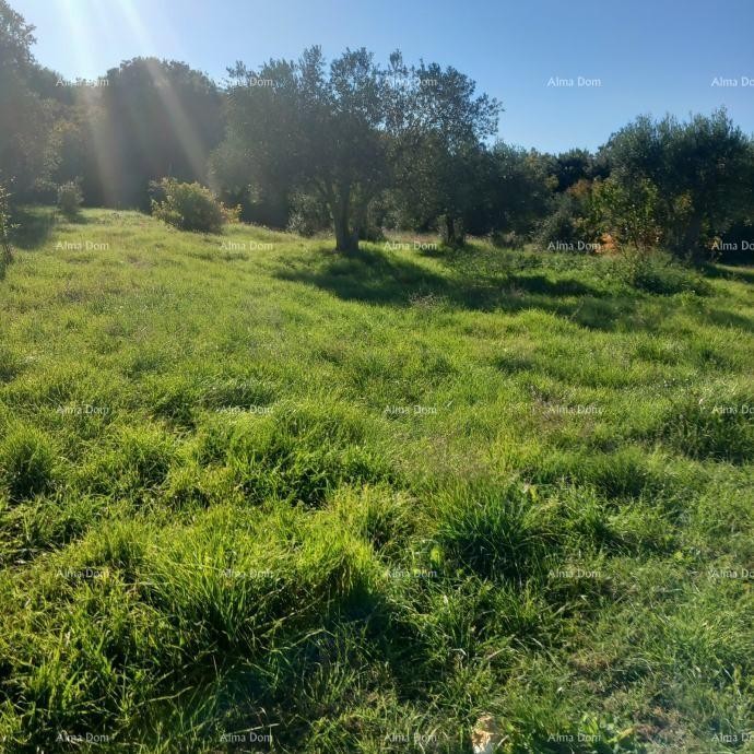 Отличная возможность - владение с каменным домом, большим земельным участком и хозяйственными постройками - близость к Ровиню! 10