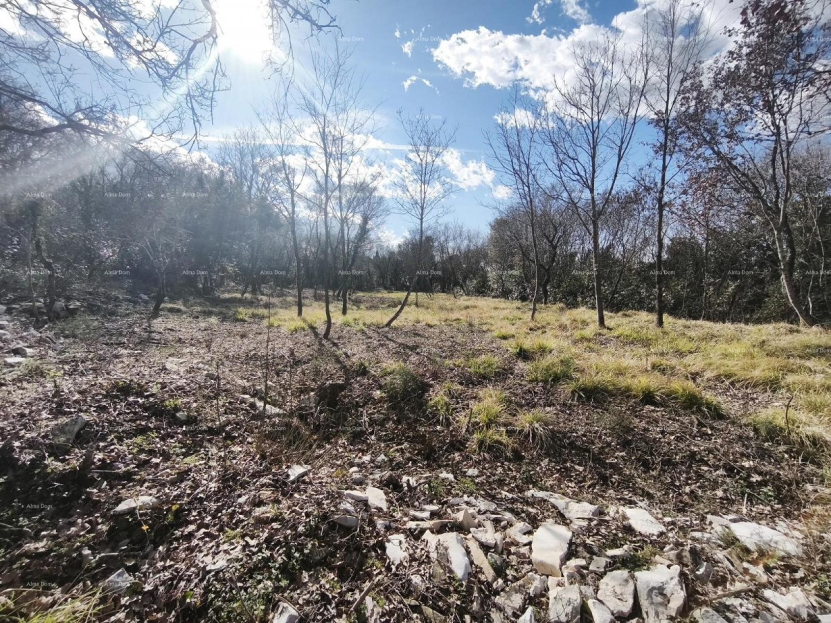 Buje – građevinsko zemljište 1.086 m² s pogledom na more 2