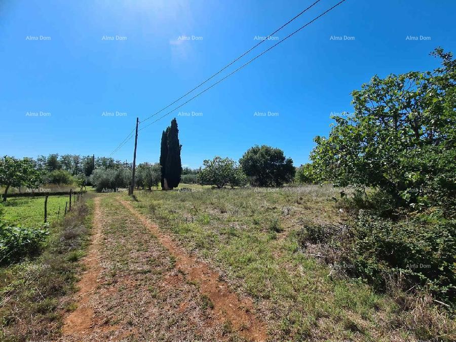 PULA - Construction Land in Busoler 4