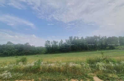 VIŠNJAN – ATTRATTIVO TERRENO EDILIZIO CON VISTA, 2.588 m²