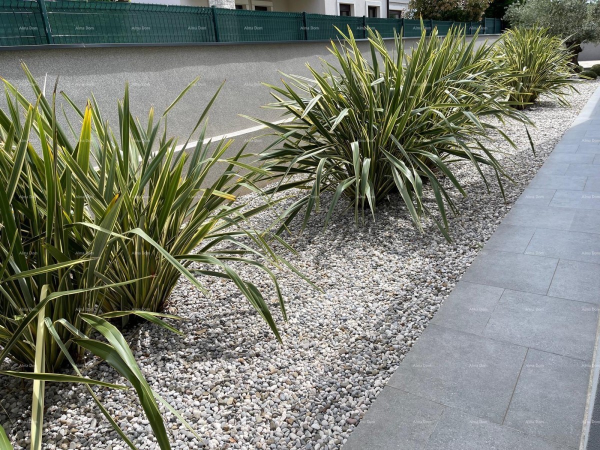 Фажана! Современная вилла с бассейном! 27