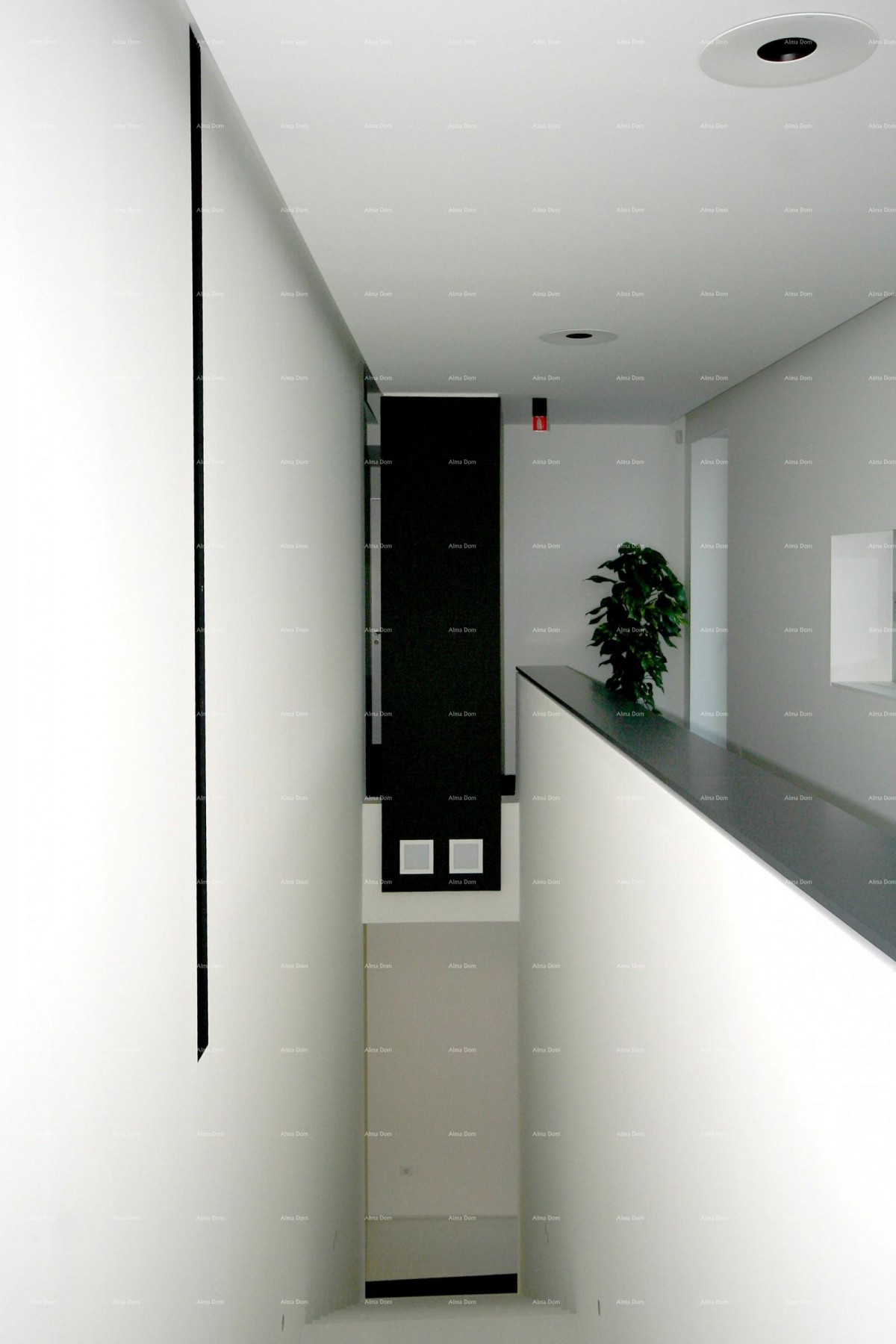 Pula/Veruda! Samostojna hiša na odlični lokaciji! 5