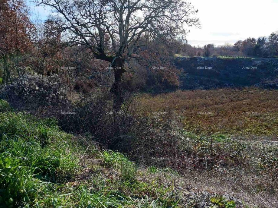 Эемля Kanfanar 1