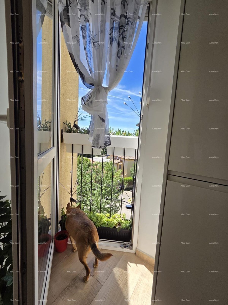 PULA, VIDIKOVAC, RENOVATED APARTMENT 52 m² 13