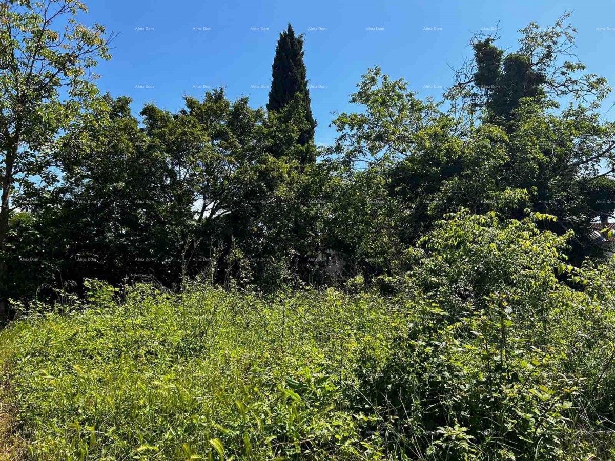 Prodaja hiše s skednjem in zemljiščem v bližini Barbana! 3