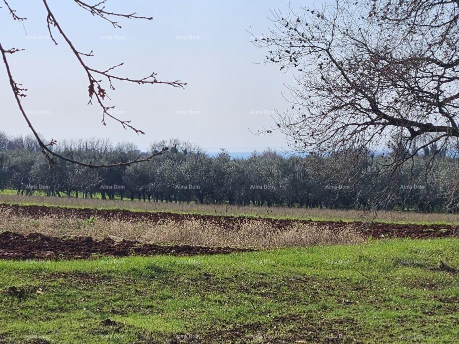 Reserved!!! Sale of construction land with a sea view, Novigrad! 2