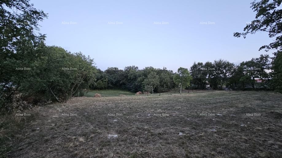 Строительная земля в Тиньяне (Истрия), 3.623 м² 8