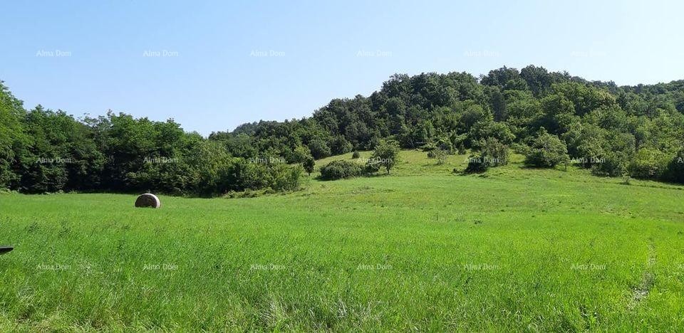 For Sale - Large Estate/Farm in Central Istria, Pazin! Investment Opportunity! 5