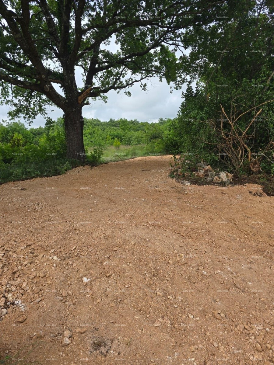 PRODAJA – Građevinsko zemljište s građevinskom dozvolom i projektom kuće s bazenom, Marčana! 1