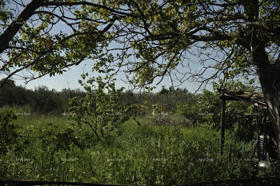 LOBORIKA - Gradbeno in kmetijsko zemljišče 2