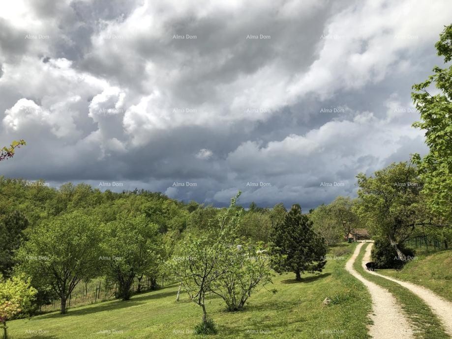 Na prodajo je čudovita nepremičnina, obdana z gozdovi in vinogradi, s pogledom na Gračišće in Učko! 14