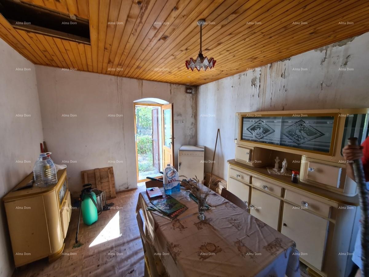 Станция под Водняном! Большой участок 6390 м²!! 13