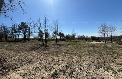 ПАЗИН (Истрия) - участок под застройку 1666 м2, в зеленой зоне