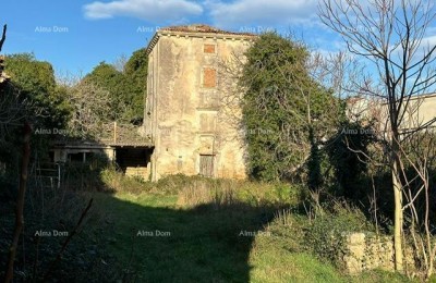 Razvalina v Šišanu