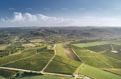Building land of 500 m² with a sea view – near Brtonigla