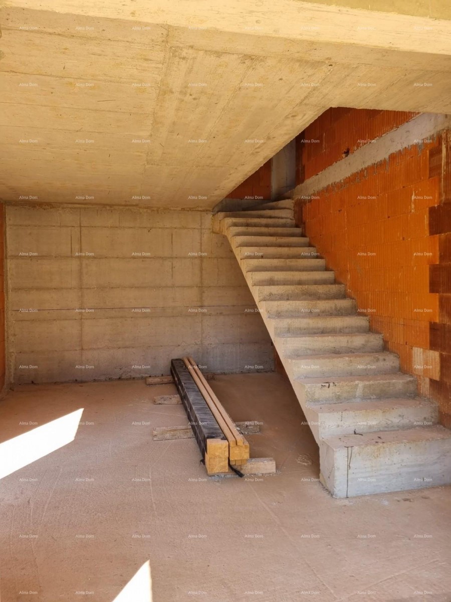 House Pazin 8