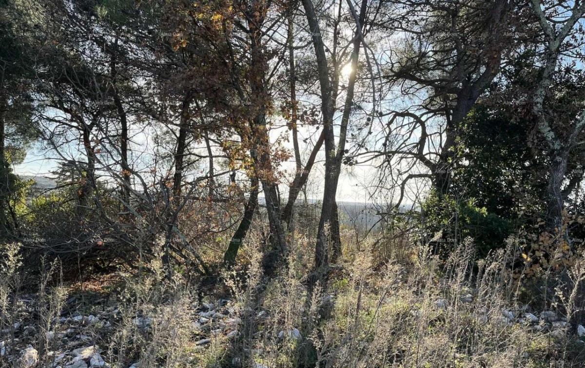 Jurcanija, Buje. Building land with a panoramic view 3