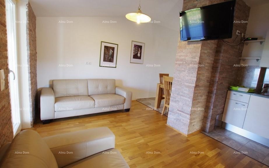 Labin, Apartmajska hiša s bazenom in pogledom na morje 19