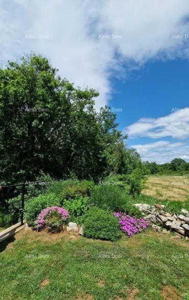 Renovated Istrian stone house with swimming pool 6
