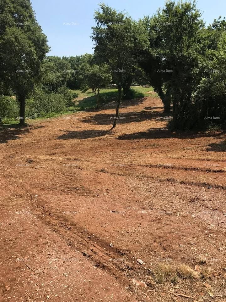 Terreno edificabile 1.137 m² – Filipana 2