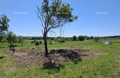 Građevinska parcela 1.200 m² + poljoprivredno zemljište 4.400 m² – Vižinada