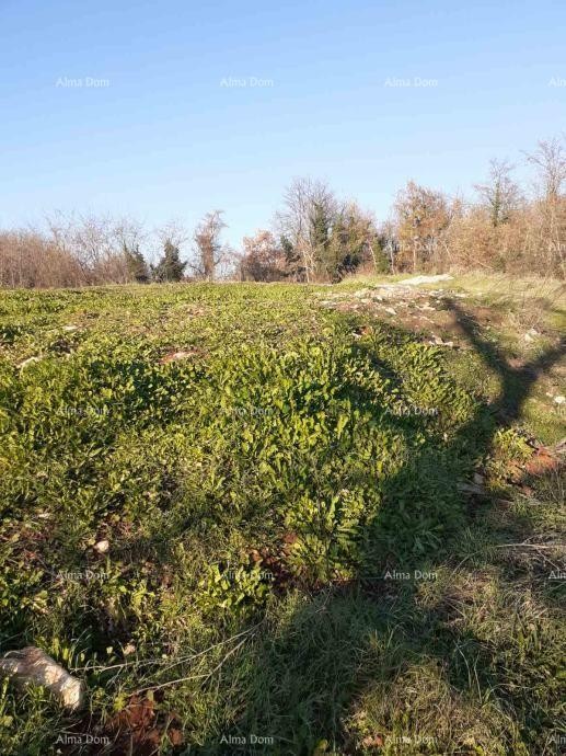 Prodaja zemljišta v Brtonigli (Istra) – gradbeno in kmetijsko, skupna površina 5.000 m² 1