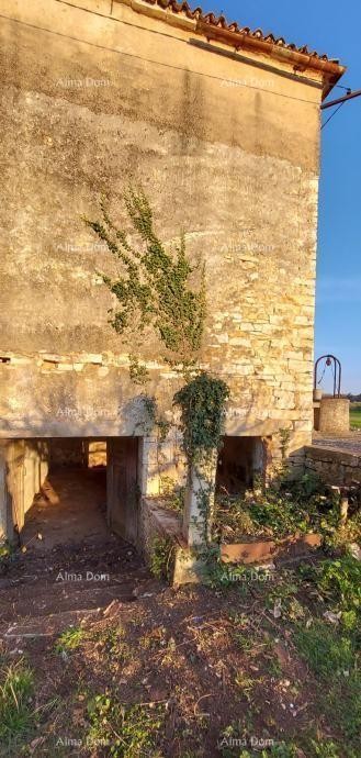 Galižana – kamena hiša z gradbenim zemljiščem in šterno 3