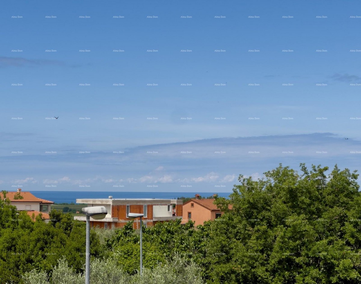 Дом Novigrad 33