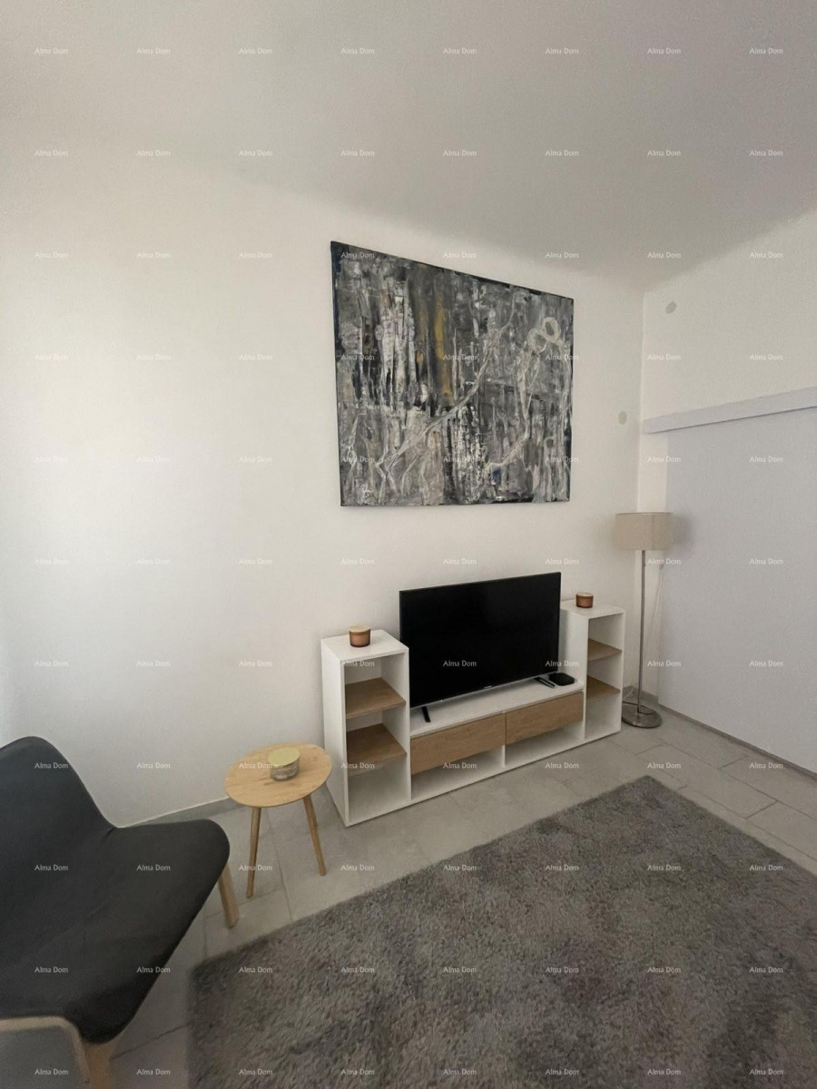 Furnished apartment 45 m2 on the ground floor in the center of Pula 5